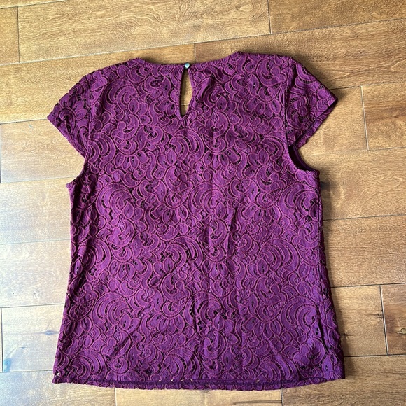 laundry by Shelli Segal Burgundy Lace Too - Picture 4 of 4